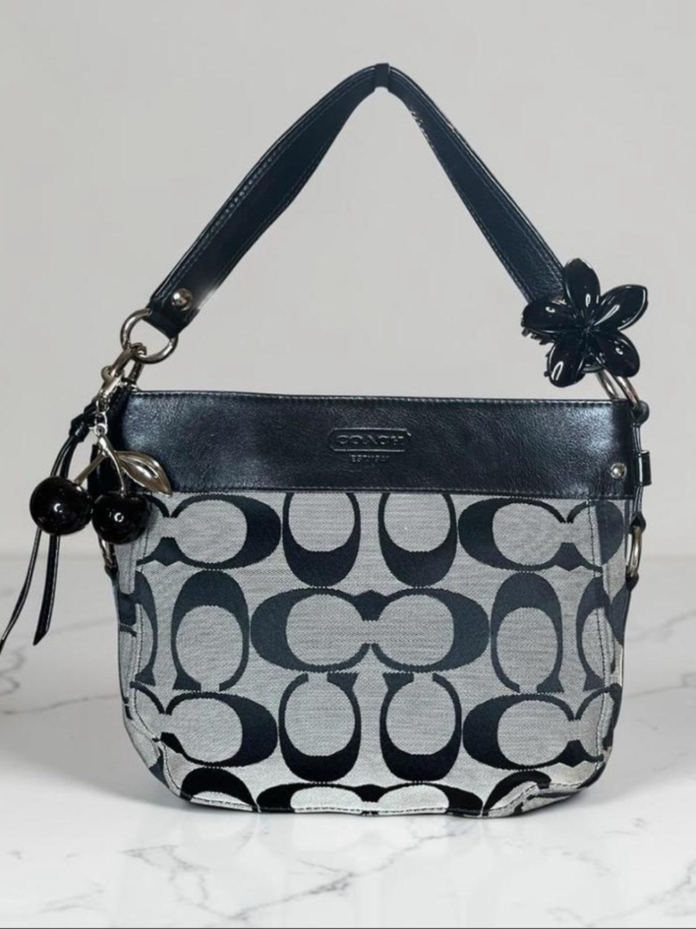 Coach larger zoe hobo signature shoulder bag